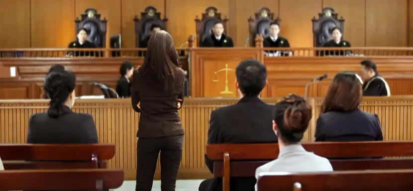 Federal Grand Juries, Subpoenas & Proceedings-image