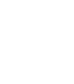 Miami Herald Image
