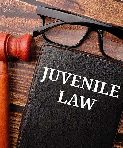 Juvenile Crimes  Image